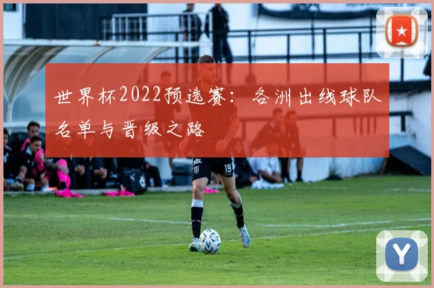 世界杯2022预选赛：各洲出线球队名单与晋级之路