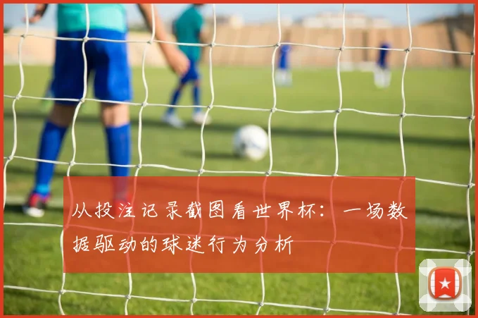 从投注记录截图看世界杯：一场数据驱动的球迷行为分析